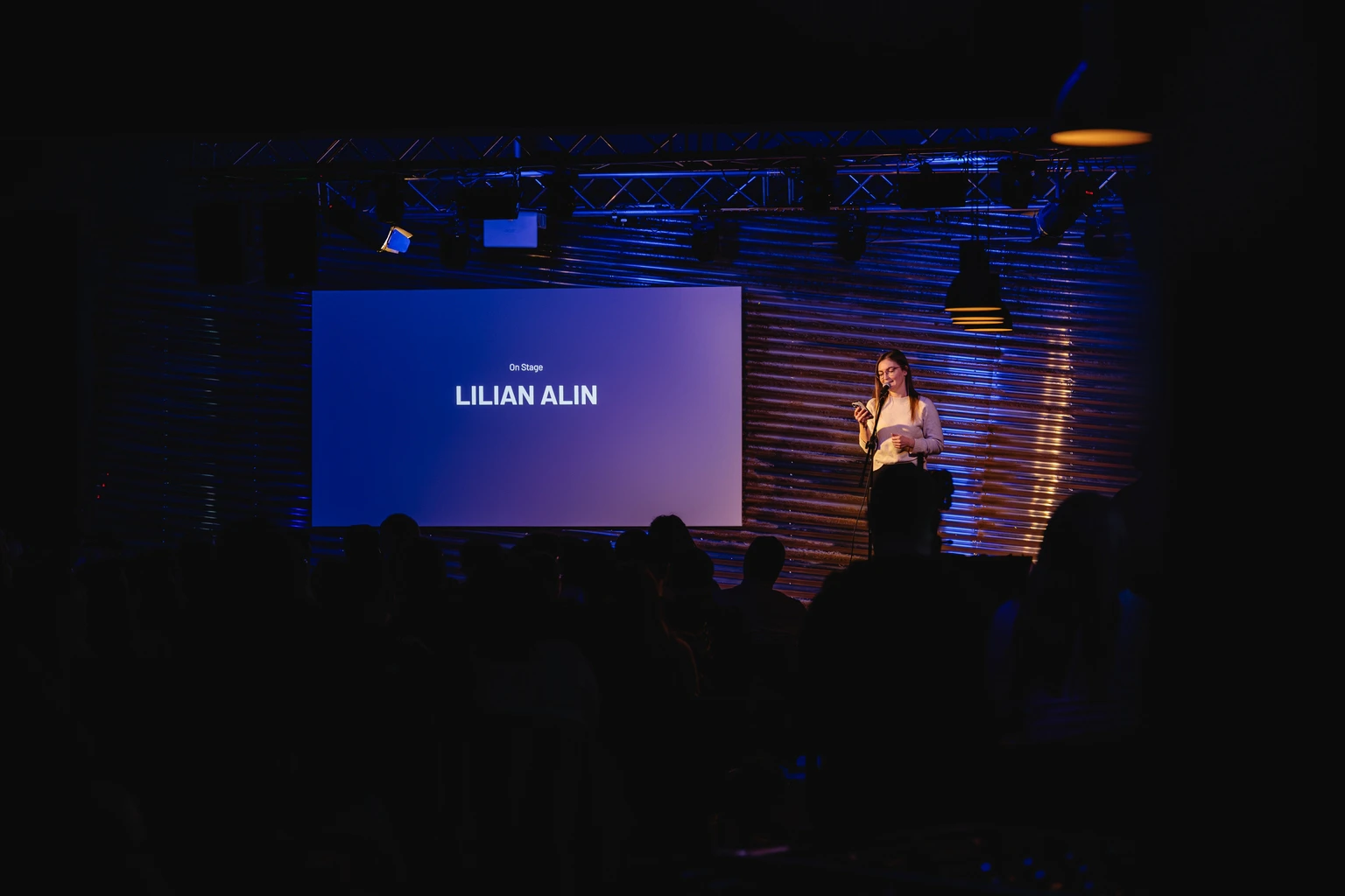 dc Poetry Slam Lilian Alin