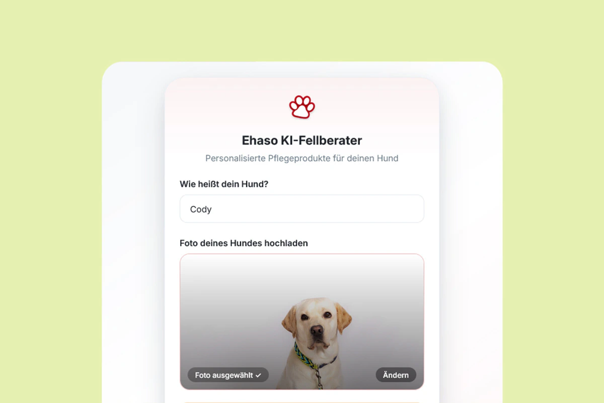 Ehaso KI-Berater