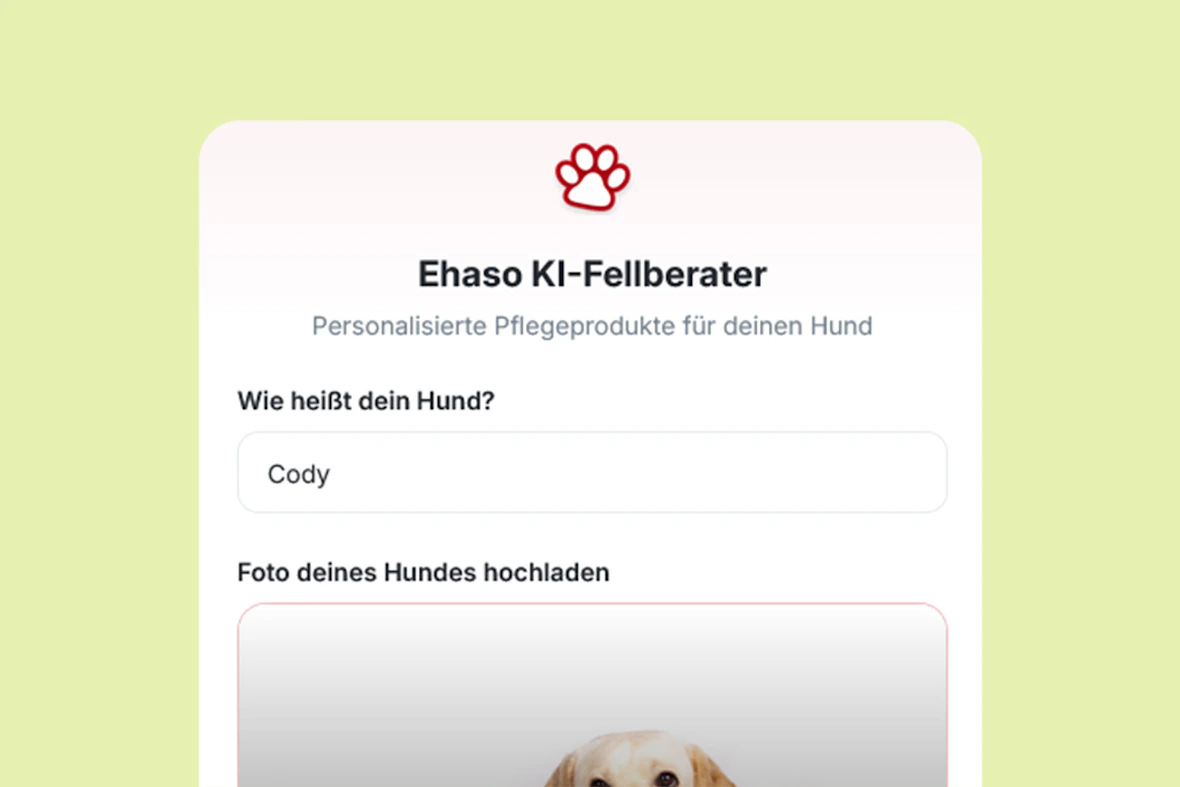 Benutzeroberfläche der dynamic commerce KI-Lösung.