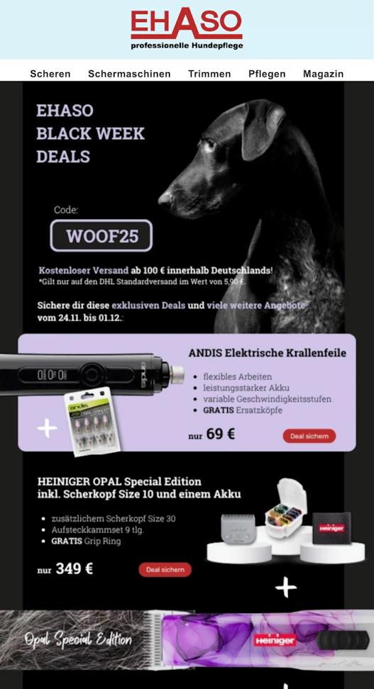 Screenshot einer Marketing-Email für EHASO.