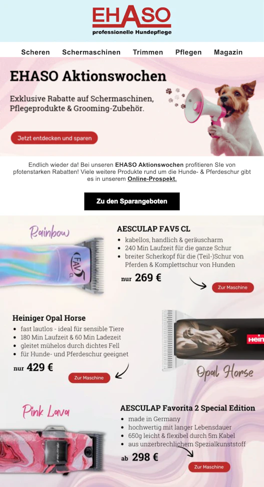 Screenshot einer Marketing-Email für EHASO.