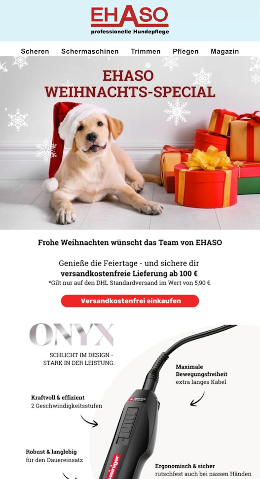 Screenshot einer Marketing-Email für EHASO.